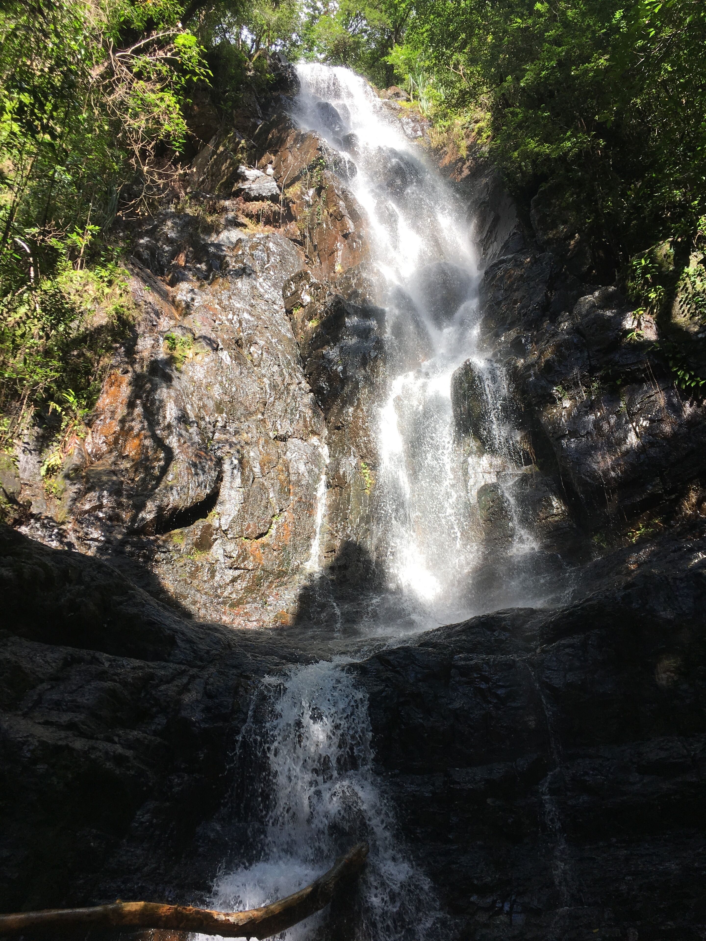 A waterfall cascading over rocks surrounded by dense greenery.