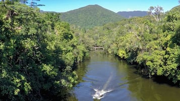 Une rivière bordée d’une végétation luxuriante et verdoyante, avec un petit pont visible au loin.