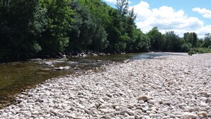 A riverbank with pebbles and dense greenery.