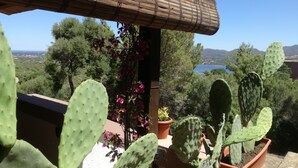 A balcony with cacti and a view of a coastal landscape. - Lucianasit, in the heart of the Emerald Coast and its wonderful beaches. (Olbia)