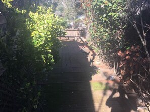 Property grounds - Monterey House with Sunroom full kitchen, WiFi, cable and happiness (Del Rey Oaks)