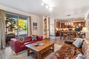 Télévision, cheminée, livres, vidéothèque