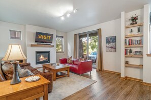 Televisie, een open haard, boeken en een filmbibliotheek