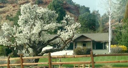 Lapsiystävällinen / Näkymät / Patikointi / Pyörä / Hiihto / Lautta / Metsästys / Tulisija / Varastointi / Polut / Pysäköinti