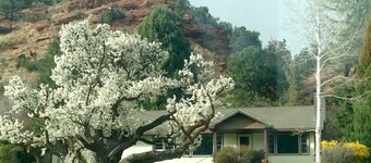 Familievennlig / Visninger / Fottur / Sykkel / Ski / Raft / Hunt / Firepits / Storage / Trails / Parking