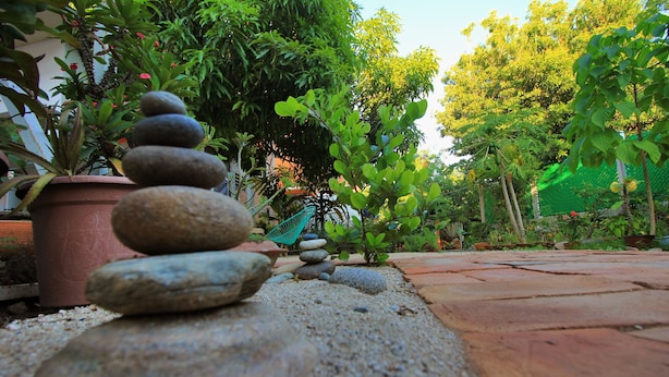 Unclassified image, 1 of 45, button - Paziflora Hostel (Puerto Escondido)
