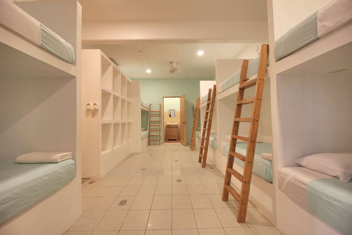 Basic Shared Dormitory, Mix Dorm, 12 Beds | Accès au Wi-Fi (inclus), literie fournie