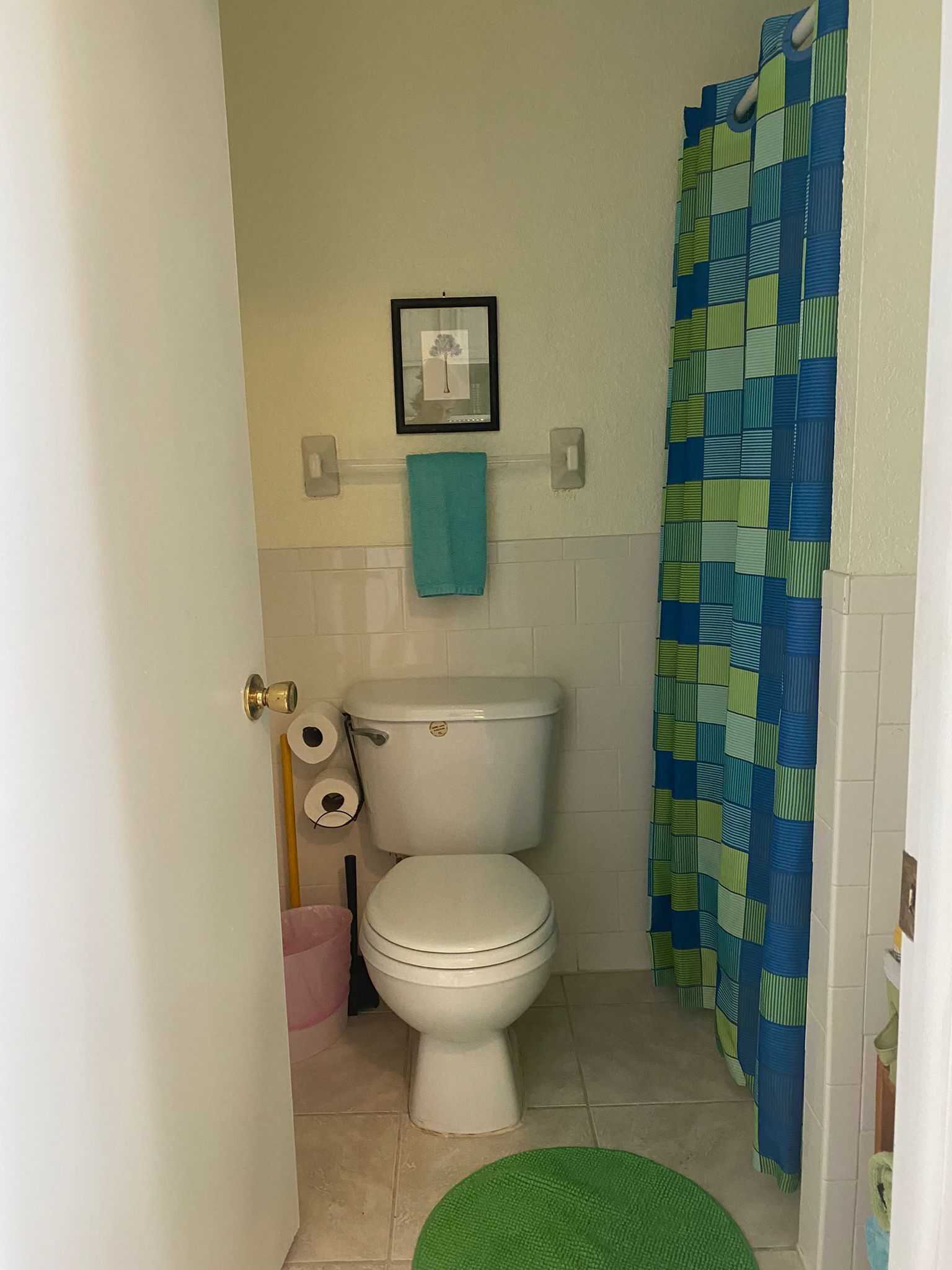 A small bathroom with a toilet, a green mat, a blue and green shower curtain, and a framed picture on the wall.