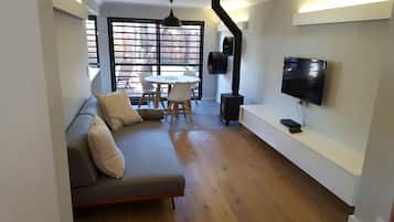 Smart TV, fireplace, DVD player, books