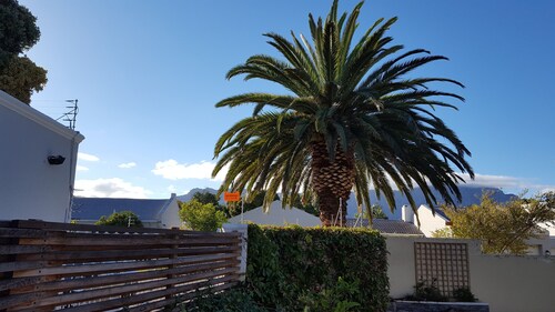 Cottage Chenin, full kitchen, fast wifi, 40 "smart TV, climate, wood burning stove