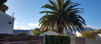 Cottage Chenin, full kitchen, fast wifi, 40 "smart TV, climate, wood burning stove