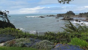 Un paysage côtier caractérisé par des affleurements rocheux, un premier plan herbeux parsemé de plantes en fleurs et une vue sur la mer.