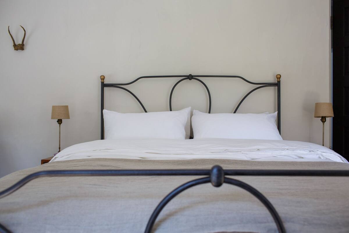 A neatly made bed with a metal headboard, two bedside lamps, and a wall-mounted deer antler decoration.