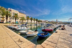 Stroll along the waterfront, surrounded by palm trees and picturesque boats.
