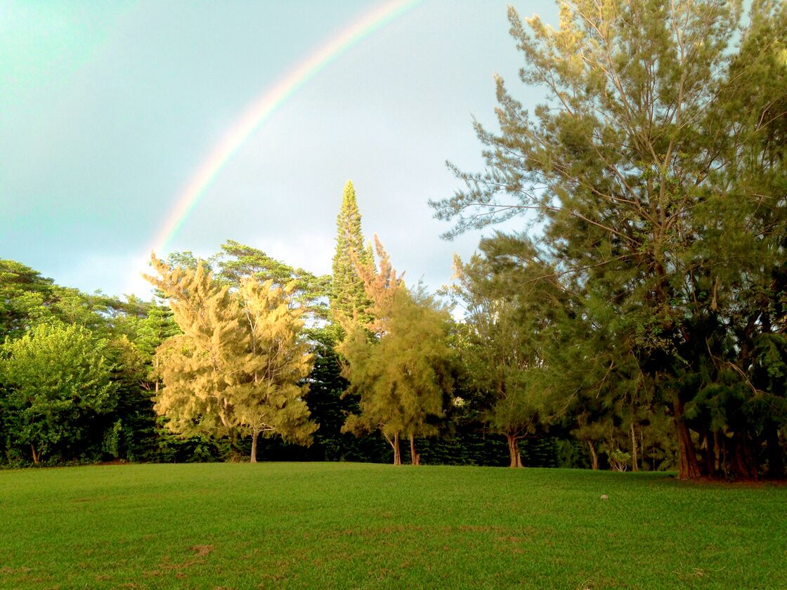 Un parque con un césped y árboles.