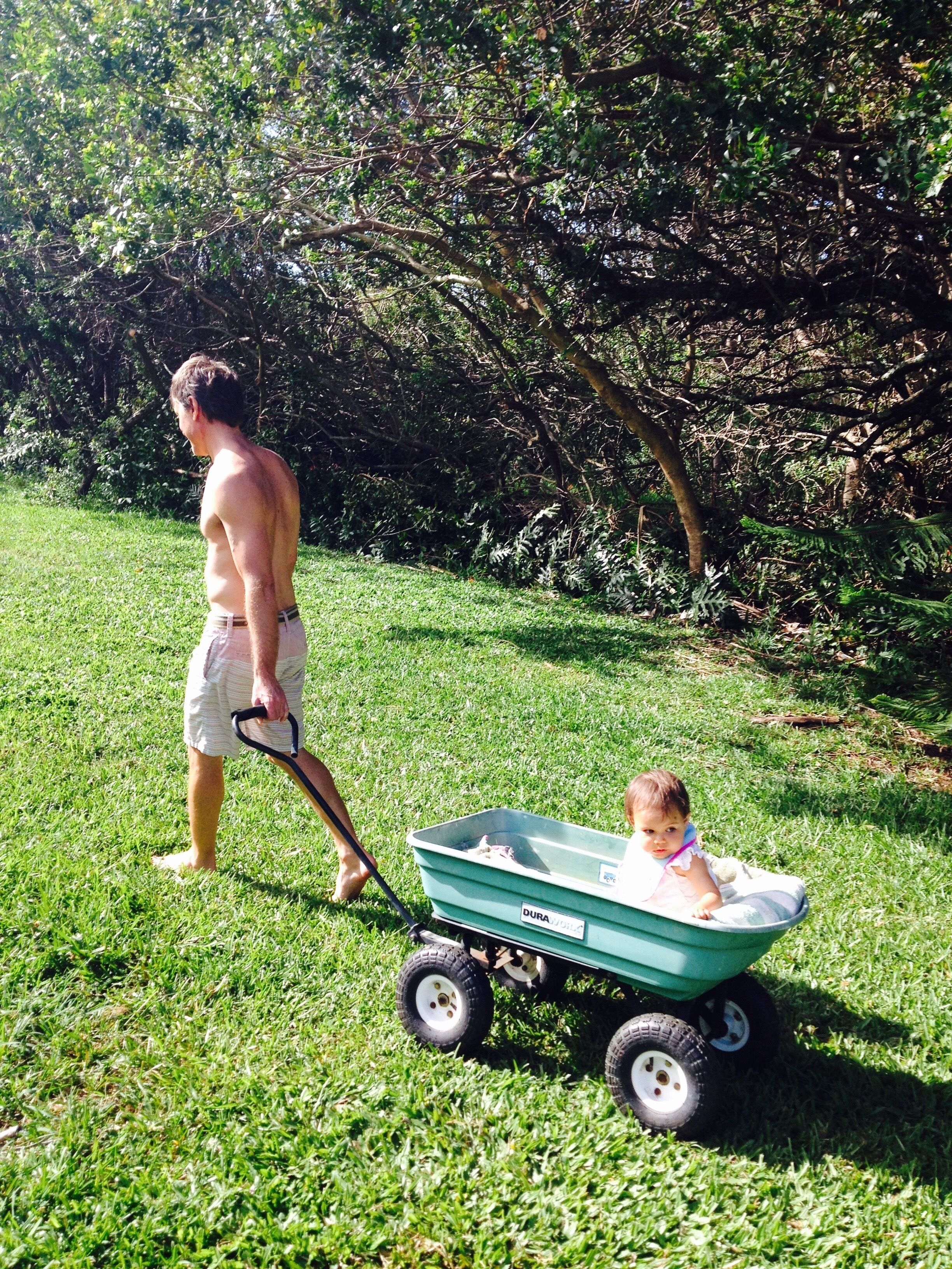 A man pushing a green wheelbarrow with a child sitting inside, on a grassy area with trees in the background.