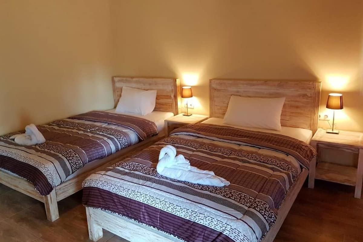 Two single beds with wooden headboards, each with a bedside table and lamp.