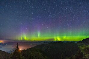 Photo non classée, 3 sur 31, bouton