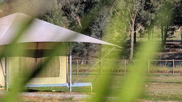 A camping tent with a canopy, set up on a grassy area with trees in the background.
