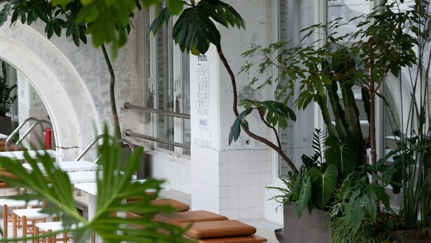 A modern interior with a seating area, a staircase, and indoor plants.