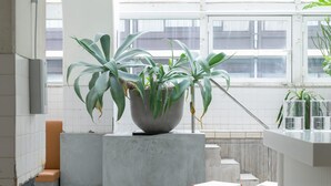 A modern bathroom with a large potted plant, a sink, and a wooden stool.