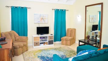 Flat-screen TV, Netflix
