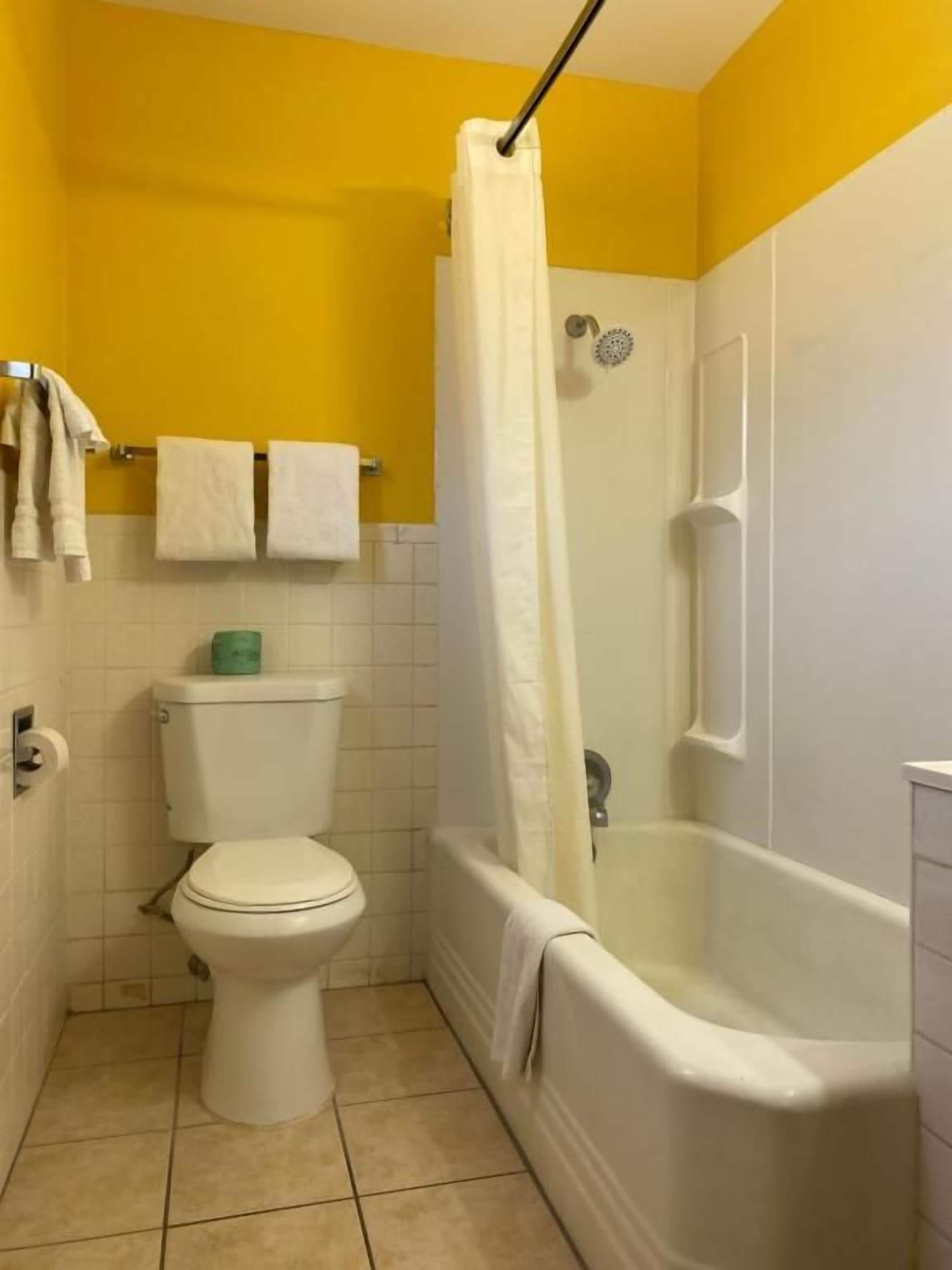 A bathroom with a toilet, bathtub, and shower curtain.