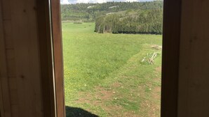 Vista a través de una ventana: un campo verde, árboles y cielo despejado.