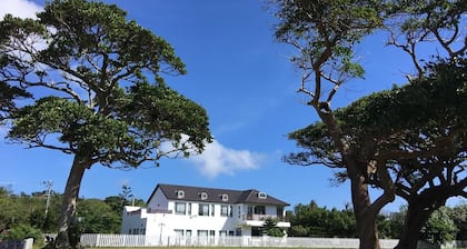 Summer Homestay
