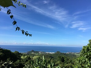 شاطئ