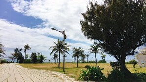 A paved pathway leading to a beach with palm trees and a large tree in the foreground. - Summer Homestay (Hengchun)