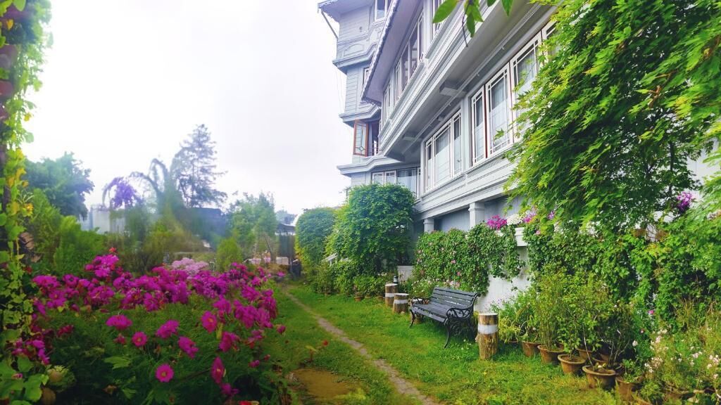 Un jardin avec un sentier, un banc et des plantes en pot.