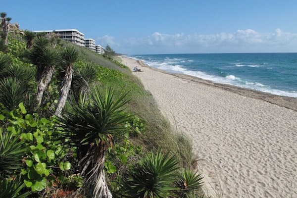 Platja a a prop, gandules de platja i tovalloles de platja