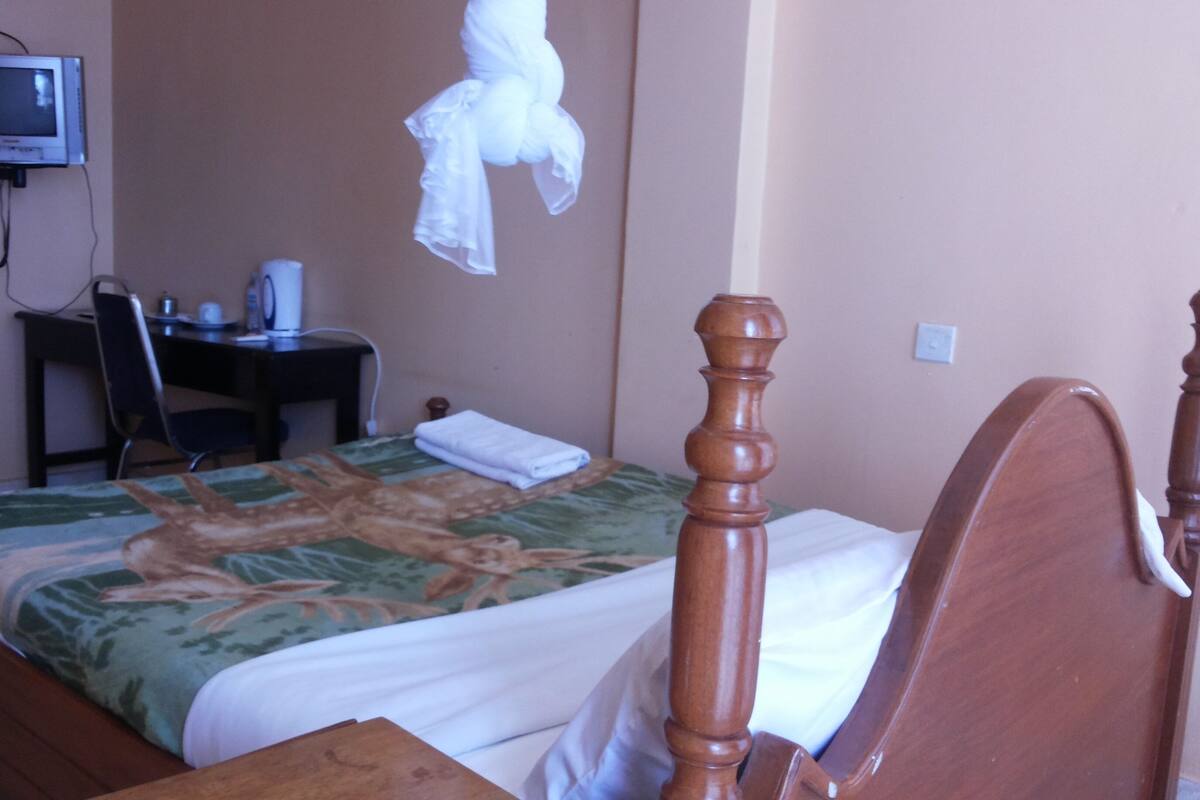 Standard Single Room, Garden View | Egyptian cotton sheets, premium bedding, desk, laptop workspace