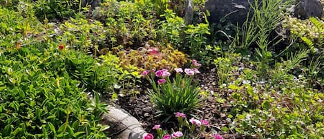 Jardín