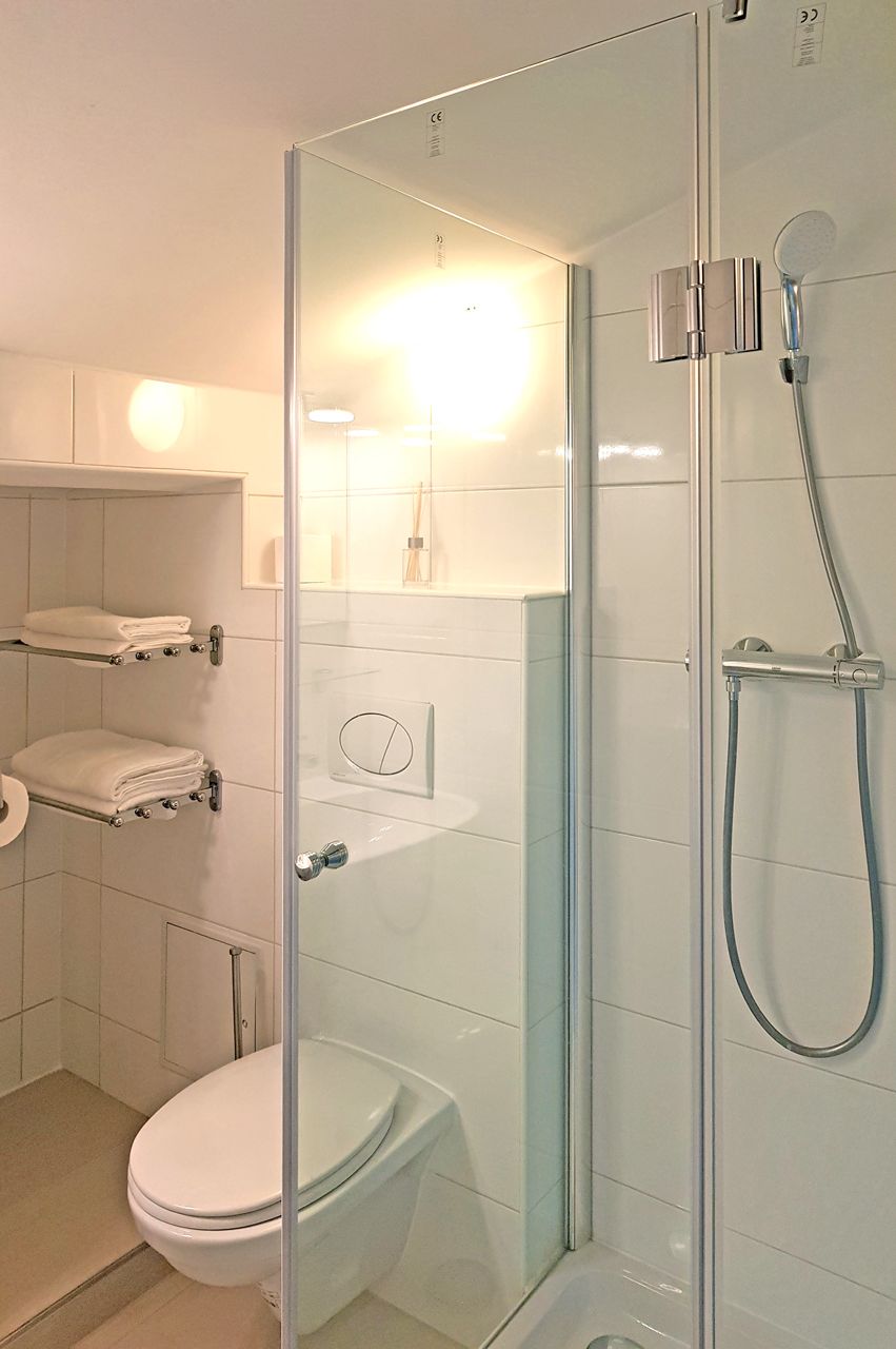 A modern bathroom with a glass-enclosed shower, a toilet, and a sink.