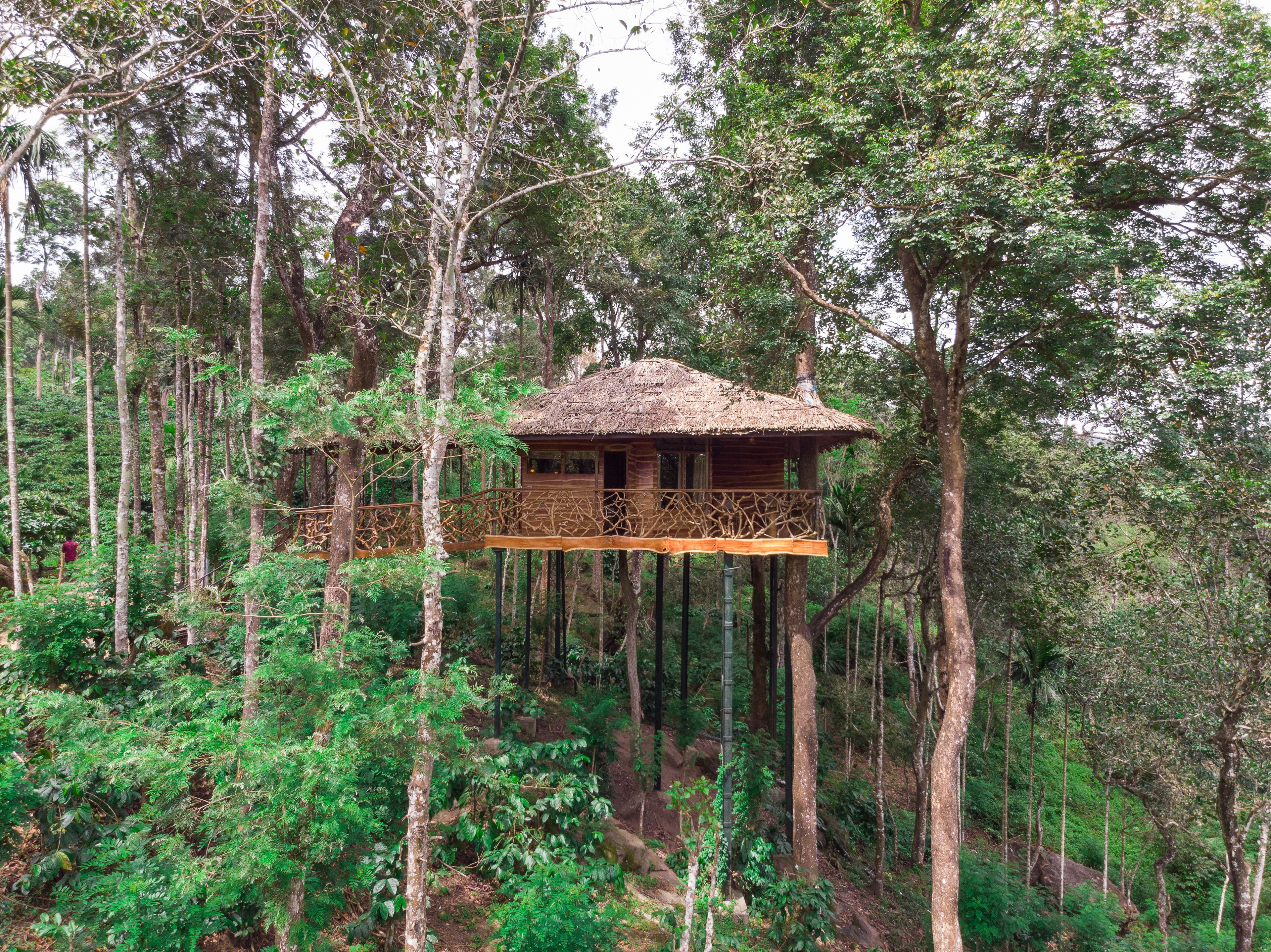 Family Tree House, 1 King Bed, 2 Bathrooms, Valley View,(Child below 04 years strictly not allowed) | إطلالة على الوادي