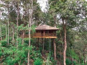 Valley view - Tranquil Resort - BluSalzz Collection, Wayanad (Sulthan Bathery)