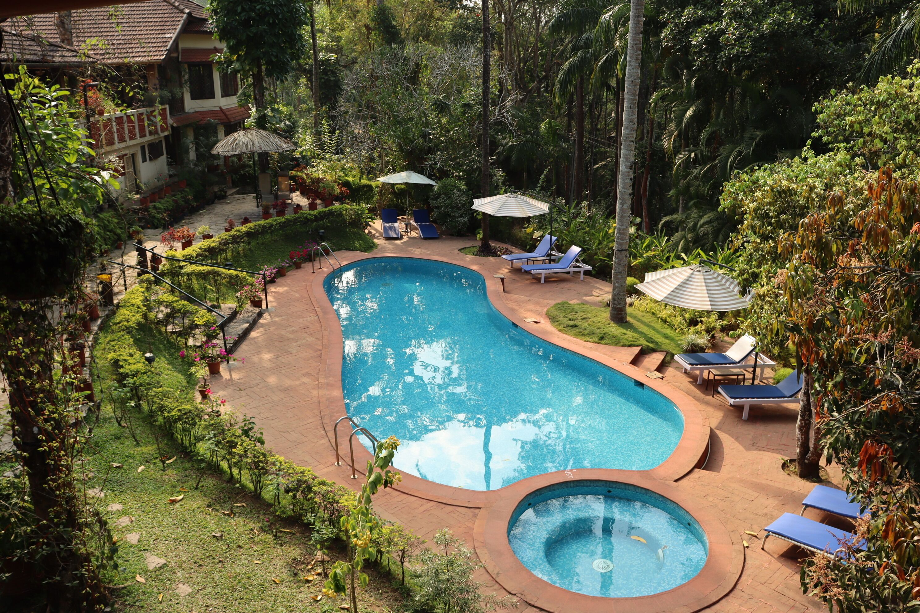 Outdoor pool, pool umbrellas, pool loungers