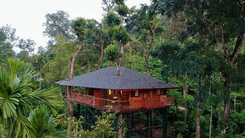 Premium bedding, in-room safe, individually decorated