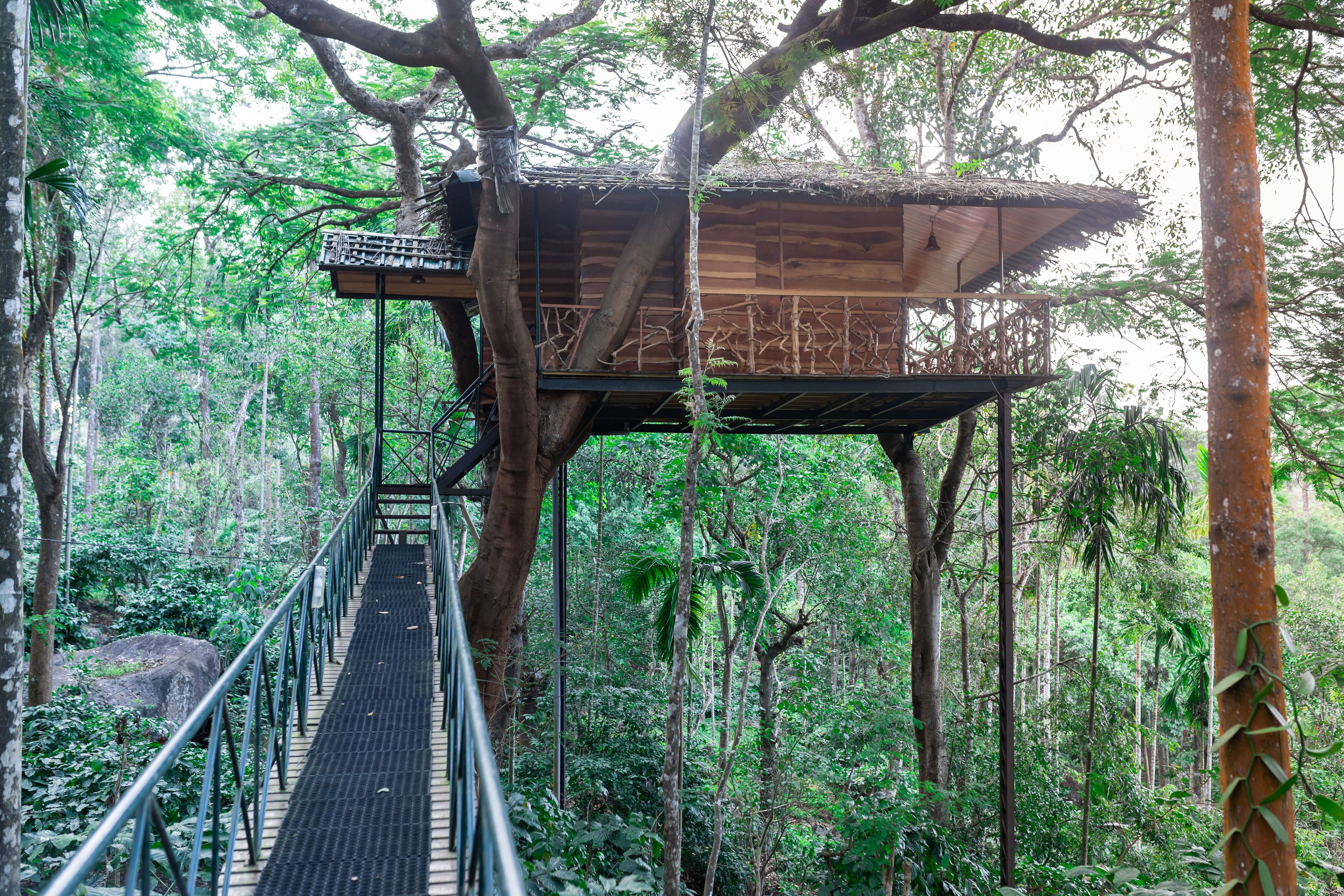 Luxury Tree House, 1 King Bed, Balcony, Valley View,(Child below 7 years strictly not allowed) | Premium bedding, in-room safe, individually decorated