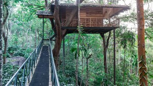 A wooden treehouse with a thatched roof, accessible by a metal staircase. - Tranquil Resort - BluSalzz Collection, Wayanad (Sulthan Bathery)