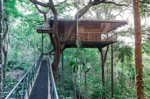 Luxury Tree House, 1 King Bed, Balcony, Valley View,(Child below 7 years strictly not allowed) | Premium bedding, in-room safe, individually decorated