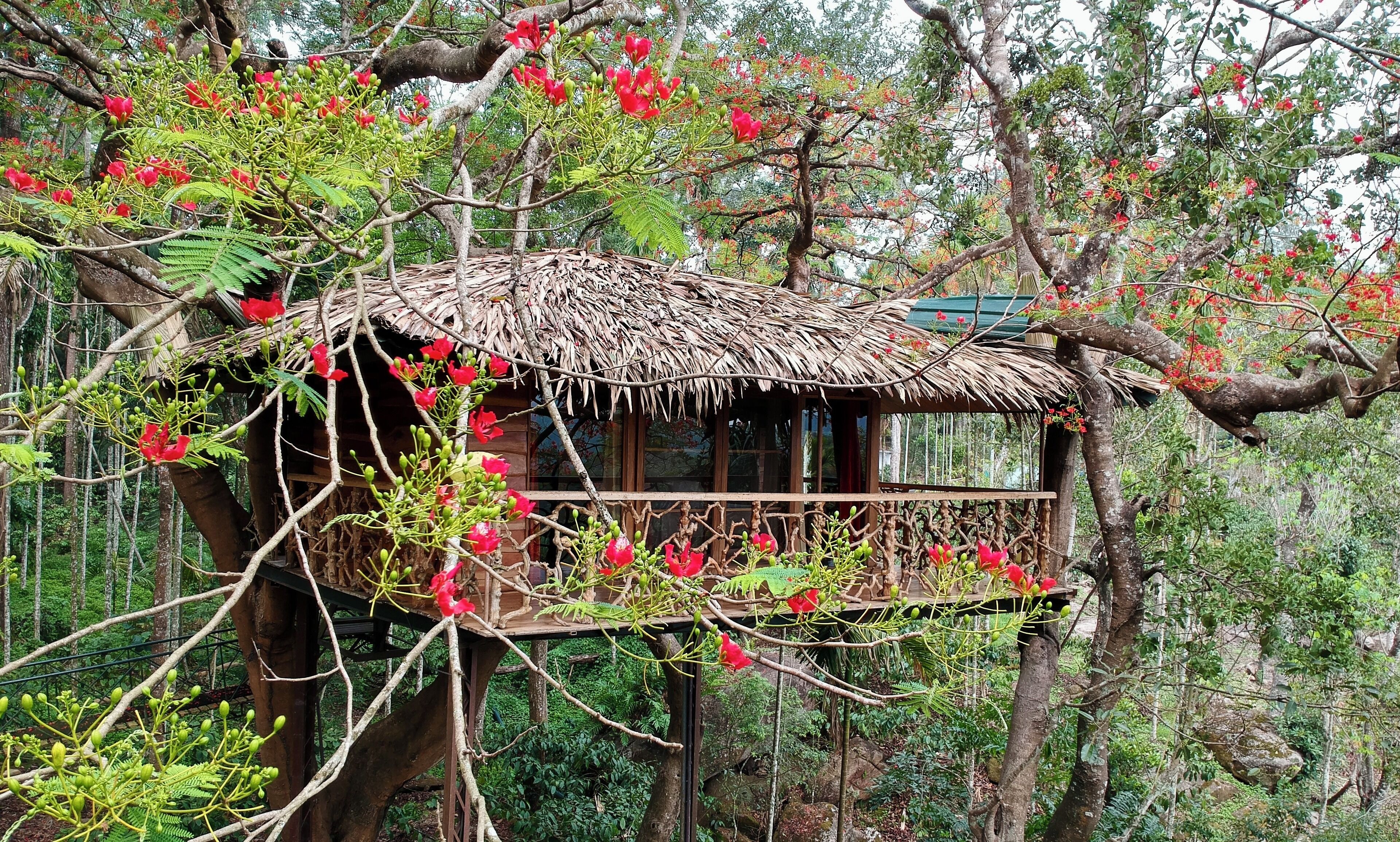 A treehouse with a thatched roof, surrounded by lush greenery and red flowers.