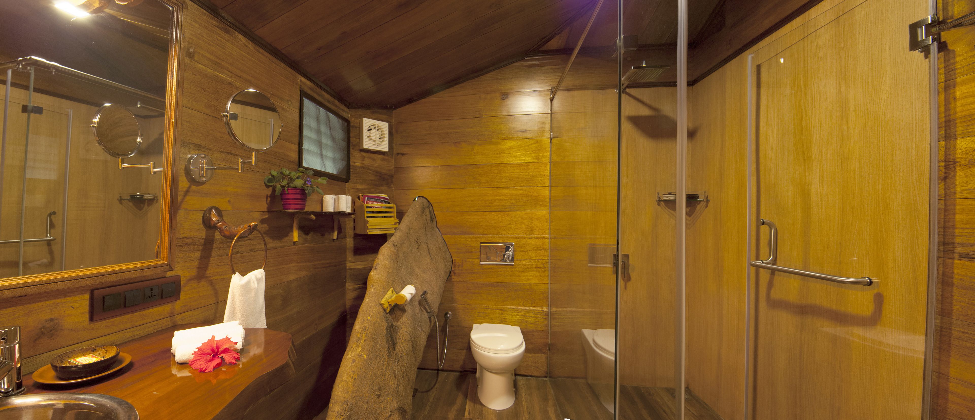 A wooden bathroom with a glass shower enclosure, a toilet, and a sink.