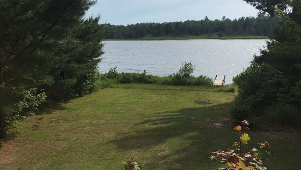 A grassy area with a lake, surrounded by trees and bushes.