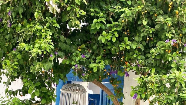 Unclassified image, 1 of 25, button - Vintage House at Alacati Center (7) (Cesme)