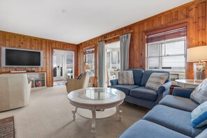 Smart TV, fireplace, DVD player, books