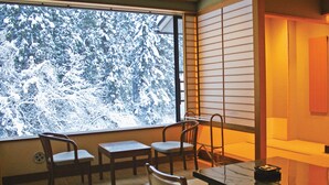 传统客房, 私人浴室, 河景 (Japanese Style, KEIRYUKAN) | 客房内保险箱、遮光窗帘、熨 斗/熨板、免费 WiFi