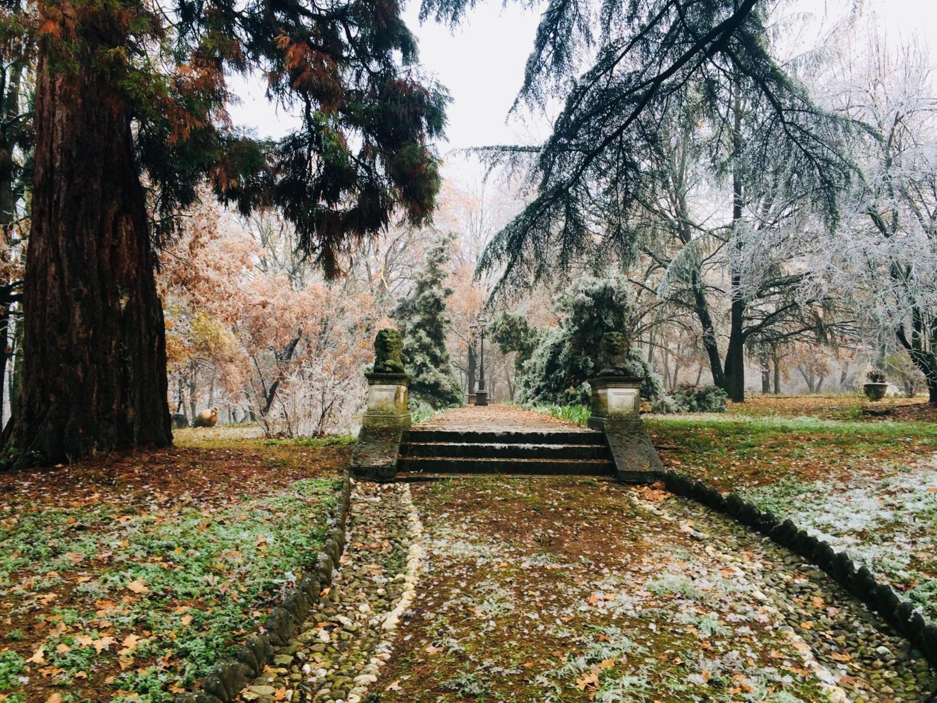 Ein Weg zu einer Steinsitzbank, umgeben von Bäumen und einer Steinmauer.